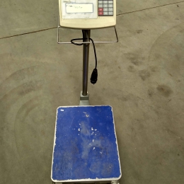 mobile scale Precia